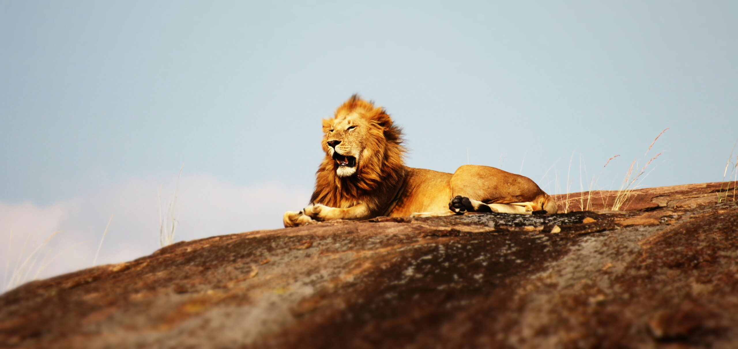 TOP 5 KENYAN NATIONAL PARKS